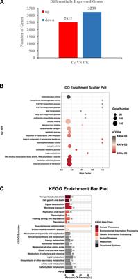 Urate oxidase from tea microbe Colletotrichum camelliae is involved in the caffeine metabolism pathway and plays a role in fungal virulence